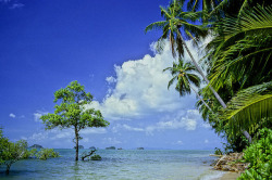 Thaïlande : les îles du sud aux environs de Ko Chang