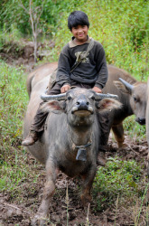 Thaïlande : province de Mae Hong Son